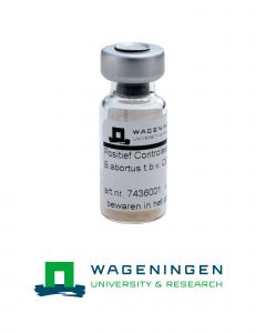 Positive Brucella serum CFT (80 ESE)