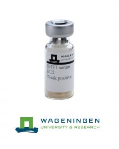 BHV-1 EU-2 serum (weak positive)