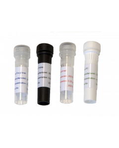 Erwinia chrysanthemi 100 tests