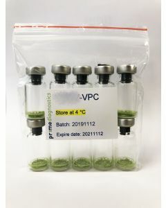 Cucumber green mottle mosaic virus positive control_VPC