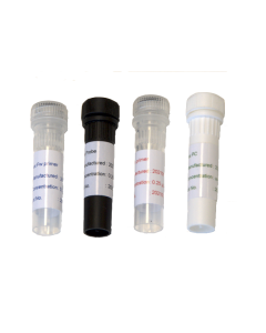 Clavibacter sepedonicus (Cms)
