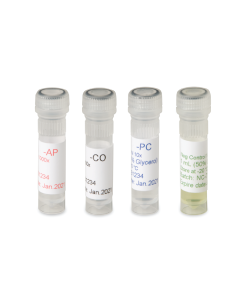 Erwinia amylovora (Eam)