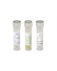 Clavibacter michiganensis michiganensis (Cmm)