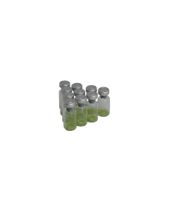 Pepino mosaic virus positive control