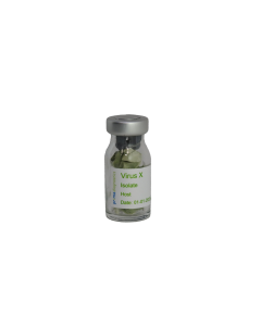Bean common mosaic necrotic virus inoculum