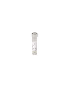 Clavibacter insidiosus IgG
