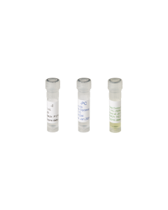 Clavibacter insidiosus (Ci)