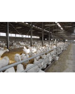 Rekenmodule Geiten