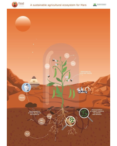 Poster Mars cirulair