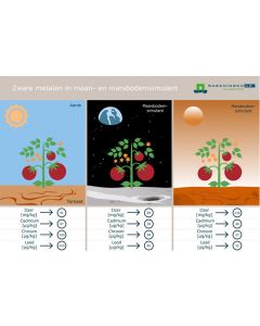 Tomato NL