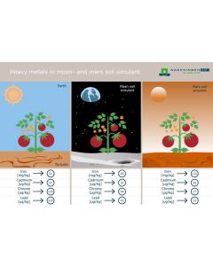 Tomato EN