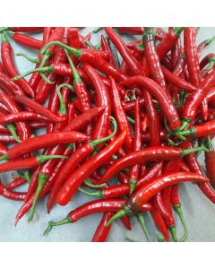 Westlandsche Lange Roode