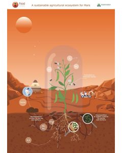 Poster Mars cirulair