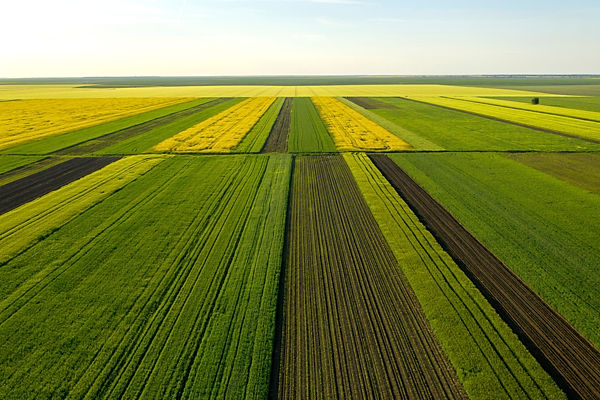 Akkerbouw en vollegrondsgroenteteelt 